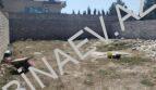 şəkil